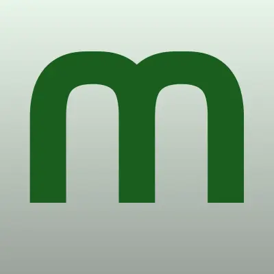 Mobilon Servis, сервисный центр, лого-визитка
